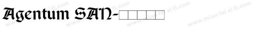 Agentum SAN字体转换